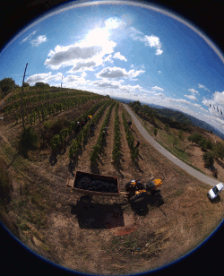 Vendanges 2017