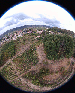 Vendanges 2017